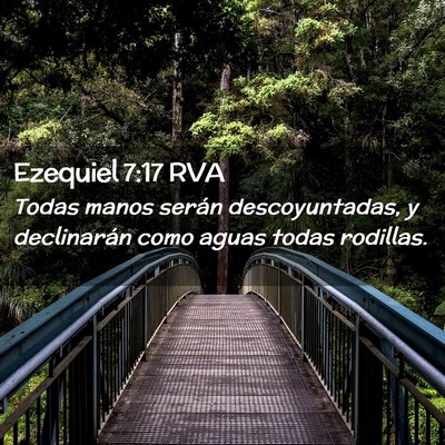 Picture 02 - Ezequiel 7:17 RVA - Todas manos serán descoyuntadas, y declinarán - Bible Verse Picture