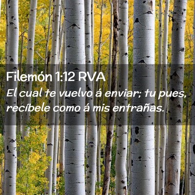 Picture 02 - Filemón 1:12 RVA - El cual te vuelvo á enviar; tu pues, recíbele - Bible Verse Picture