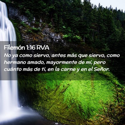 Picture 02 - Filemón 1:16 RVA - No ya como siervo, antes más que siervo, como - Bible Verse Picture