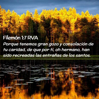 Picture 02 - Filemón 1:7 RVA - Porque tenemos gran gozo y consolación de tu - Bible Verse Picture