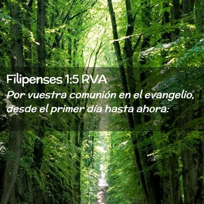Picture 02 - Filipenses 1:5 RVA - Por vuestra comunión en el evangelio, desde el - Bible Verse Picture