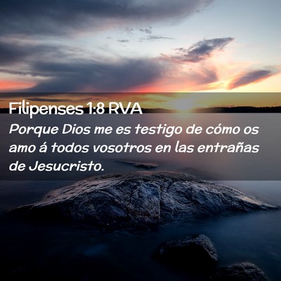 Picture 02 - Filipenses 1:8 RVA - Porque Dios me es testigo de cómo os amo á - Bible Verse Picture