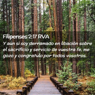 Picture 02 - Filipenses 2:17 RVA - Y aun si soy derramado en libación sobre el - Bible Verse Picture