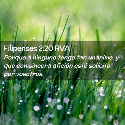 Picture 02 - Filipenses 2:20 RVA - Porque á ninguno tengo tan unánime, y que con - Bible Verse Picture