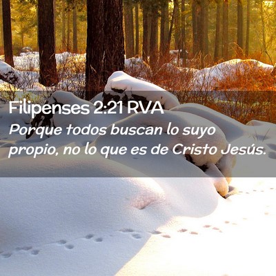 Picture 02 - Filipenses 2:21 RVA - Porque todos buscan lo suyo propio, no lo que es - Bible Verse Picture
