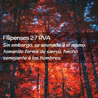 Picture 02 - Filipenses 2:7 RVA - Sin embargo, se anonadó á sí mismo, tomando - Bible Verse Picture