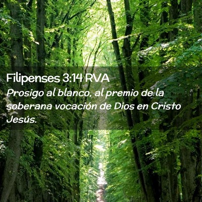 Picture 02 - Filipenses 3:14 RVA - Prosigo al blanco, al premio de la soberana - Bible Verse Picture