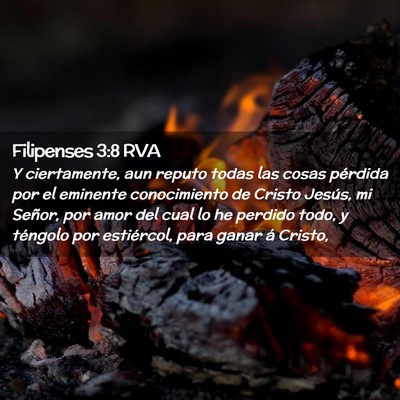 Picture 02 - Filipenses 3:8 RVA - Y ciertamente, aun reputo todas las cosas - Bible Verse Picture
