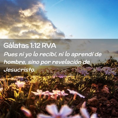 Picture 02 - Gálatas 1:12 RVA - Pues ni yo lo recibí, ni lo aprendí de hombre, - Bible Verse Picture