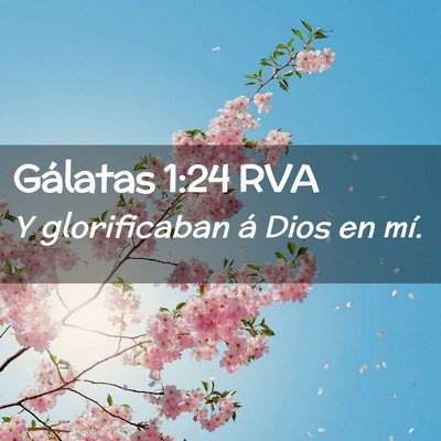 Picture 02 - Gálatas 1:24 RVA - Y glorificaban á Dios en - Bible Verse Picture
