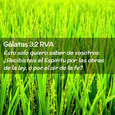 Picture 02 - Gálatas 3:2 RVA - Esto solo quiero saber de vosotros: ¿Recibisteis - Bible Verse Picture