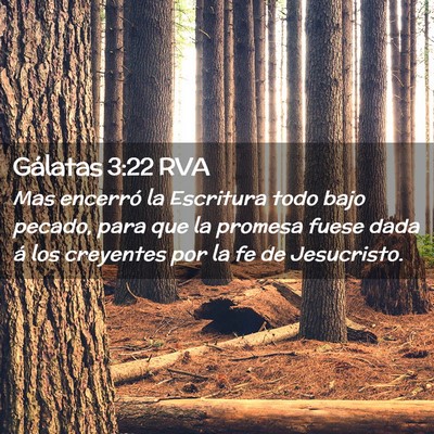 Picture 02 - Gálatas 3:22 RVA - Mas encerró la Escritura todo bajo pecado, para - Bible Verse Picture