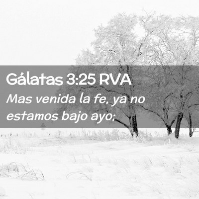 Picture 02 - Gálatas 3:25 RVA - Mas venida la fe, ya no estamos bajo - Bible Verse Picture