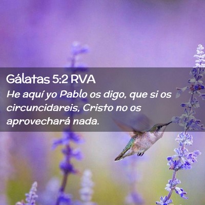 Picture 02 - Gálatas 5:2 RVA - He aquí yo Pablo os digo, que si os - Bible Verse Picture