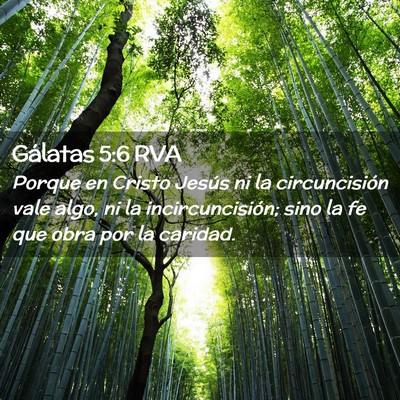 Picture 02 - Gálatas 5:6 RVA - Porque en Cristo Jesús ni la circuncisión vale - Bible Verse Picture