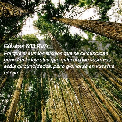 Picture 02 - Gálatas 6:13 RVA - Porque ni aun los mismos que se circuncidan - Bible Verse Picture