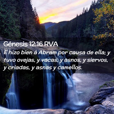 Picture 02 - Génesis 12:16 RVA - E hizo bien á Abram por causa de ella; y tuvo - Bible Verse Picture