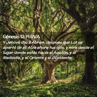 Picture 02 - Génesis 13:14 RVA - Y Jehová dijo á Abram, después que Lot se - Bible Verse Picture