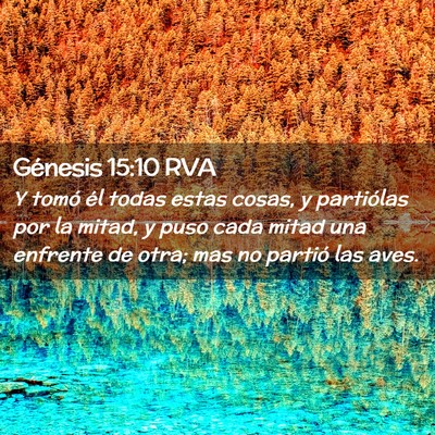 Picture 02 - Génesis 15:10 RVA - Y tomó él todas estas cosas, y partiólas por - Bible Verse Picture