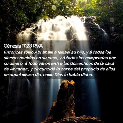 Picture 02 - Génesis 17:23 RVA - Entonces tomó Abraham á Ismael su hijo, y á - Bible Verse Picture