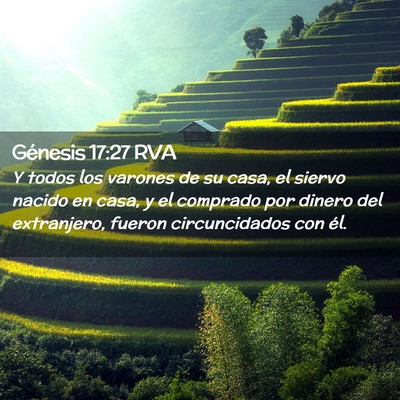 Picture 02 - Génesis 17:27 RVA - Y todos los varones de su casa, el siervo nacido - Bible Verse Picture