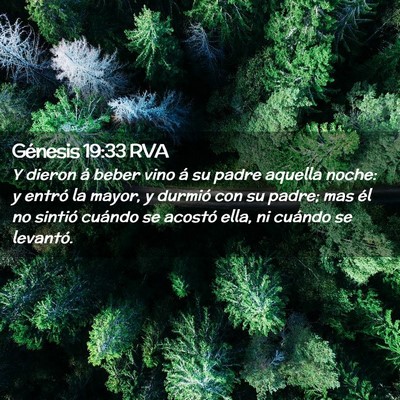 Picture 02 - Génesis 19:33 RVA - Y dieron á beber vino á su padre aquella noche: - Bible Verse Picture