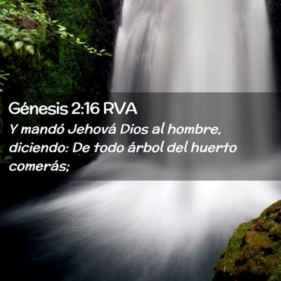 Picture 02 - Génesis 2:16 RVA - Y mandó Jehová Dios al hombre, diciendo: De - Bible Verse Picture