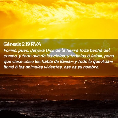 Picture 02 - Génesis 2:19 RVA - Formó, pues, Jehová Dios de la tierra toda - Bible Verse Picture