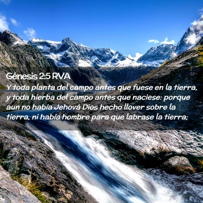 Picture 02 - Génesis 2:5 RVA - Y toda planta del campo antes que fuese en la - Bible Verse Picture