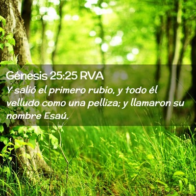 Picture 02 - Génesis 25:25 RVA - Y salió el primero rubio, y todo él velludo - Bible Verse Picture