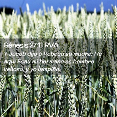 Picture 02 - Génesis 27:11 RVA - Y Jacob dijo á Rebeca su madre: He aquí Esaú - Bible Verse Picture