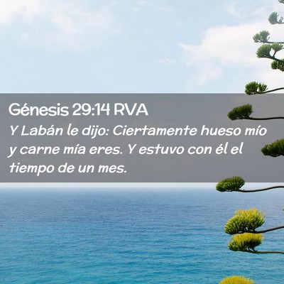 Picture 02 - Génesis 29:14 RVA - Y Labán le dijo: Ciertamente hueso mío y carne - Bible Verse Picture