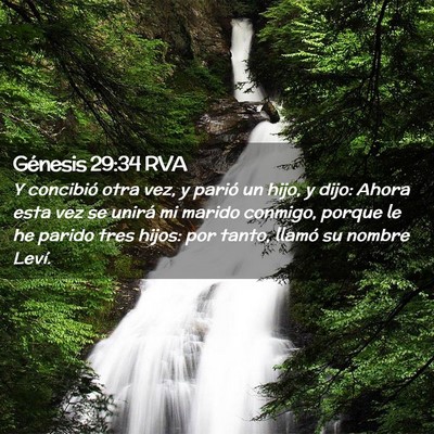 Picture 02 - Génesis 29:34 RVA - Y concibió otra vez, y parió un hijo, y dijo: - Bible Verse Picture
