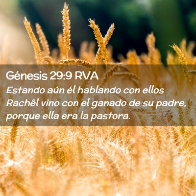 Picture 02 - Génesis 29:9 RVA - Estando aún él hablando con ellos Rachêl vino - Bible Verse Picture