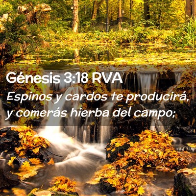 Picture 02 - Génesis 3:18 RVA - Espinos y cardos te producirá, y comerás hierba - Bible Verse Picture