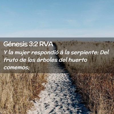 Picture 02 - Génesis 3:2 RVA - Y la mujer respondió á la serpiente: Del fruto - Bible Verse Picture