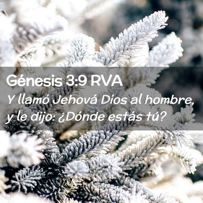 Picture 02 - Génesis 3:9 RVA - Y llamó Jehová Dios al hombre, y le dijo: - Bible Verse Picture