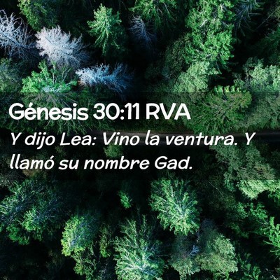 Picture 02 - Génesis 30:11 RVA - Y dijo Lea: Vino la ventura. Y llamó su nombre - Bible Verse Picture