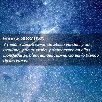 Picture 02 - Génesis 30:37 RVA - Y tomóse Jacob varas de álamo verdes, y de - Bible Verse Picture