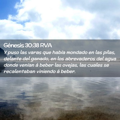 Picture 02 - Génesis 30:38 RVA - Y puso las varas que había mondado en las pilas, - Bible Verse Picture