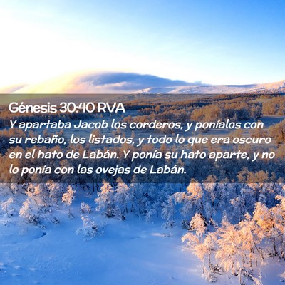 Picture 02 - Génesis 30:40 RVA - Y apartaba Jacob los corderos, y poníalos con su - Bible Verse Picture