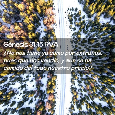 Picture 02 - Génesis 31:15 RVA - ¿No nos tiene ya como por extrañas, pues que - Bible Verse Picture