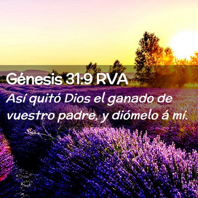 Picture 02 - Génesis 31:9 RVA - Así quitó Dios el ganado de vuestro padre, y - Bible Verse Picture