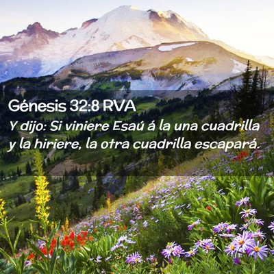 Picture 02 - Génesis 32:8 RVA - Y dijo: Si viniere Esaú á la una cuadrilla y la - Bible Verse Picture