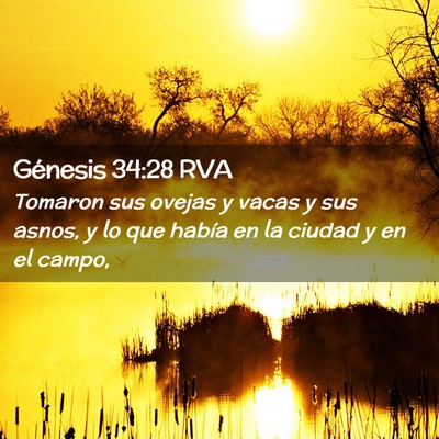 Picture 02 - Génesis 34:28 RVA - Tomaron sus ovejas y vacas y sus asnos, y lo que - Bible Verse Picture