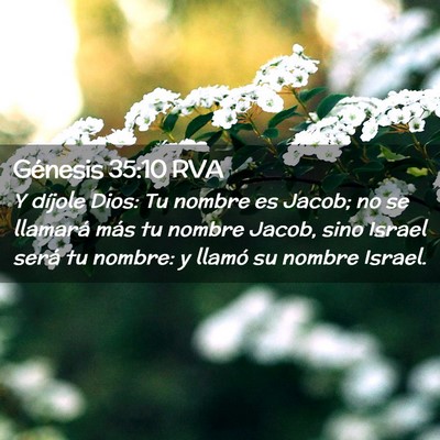 Picture 02 - Génesis 35:10 RVA - Y díjole Dios: Tu nombre es Jacob; no se - Bible Verse Picture