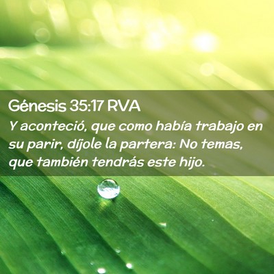Picture 02 - Génesis 35:17 RVA - Y aconteció, que como había trabajo en su - Bible Verse Picture