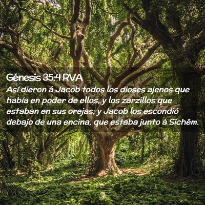 Picture 02 - Génesis 35:4 RVA - Así dieron á Jacob todos los dioses ajenos que - Bible Verse Picture