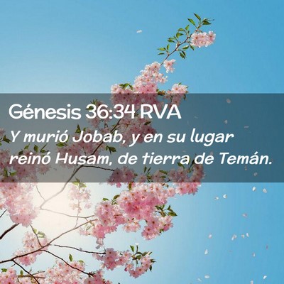 Picture 02 - Génesis 36:34 RVA - Y murió Jobab, y en su lugar reinó Husam, de - Bible Verse Picture