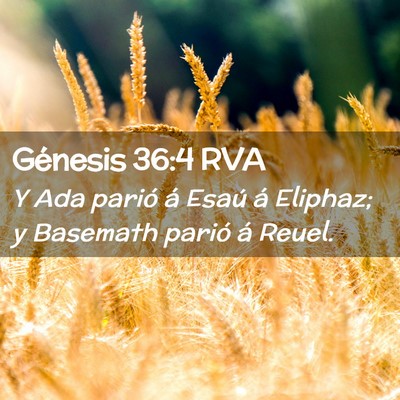 Picture 02 - Génesis 36:4 RVA - Y Ada parió á Esaú á Eliphaz; y Basemath - Bible Verse Picture